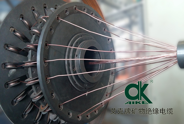 ɽ��������|